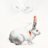 Molly II 2013 - Graphite, wax, hair on paper - 60 x 80 cm
